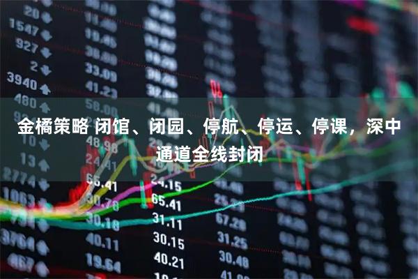 金橘策略 闭馆、闭园、停航、停运、停课，深中通道全线封闭