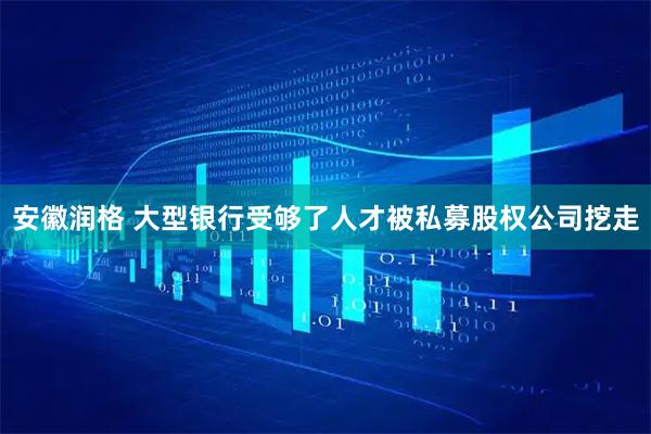安徽润格 大型银行受够了人才被私募股权公司挖走